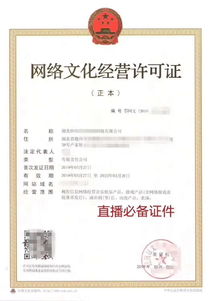 網(wǎng)絡(luò)文化經(jīng)營(yíng)許可證審批辦理全流程詳解